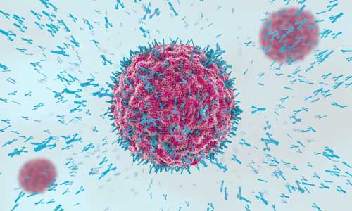 How to Boost Your Immune System