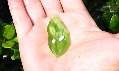 Pellet Hormone Replacement Therapy