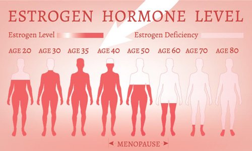 Estrogen How it improves women´s health during menopause