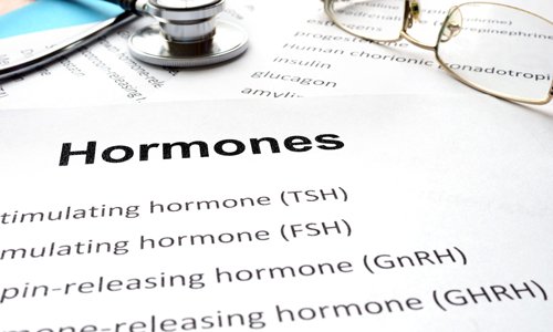 What Everybody Ought to Know About Hormones