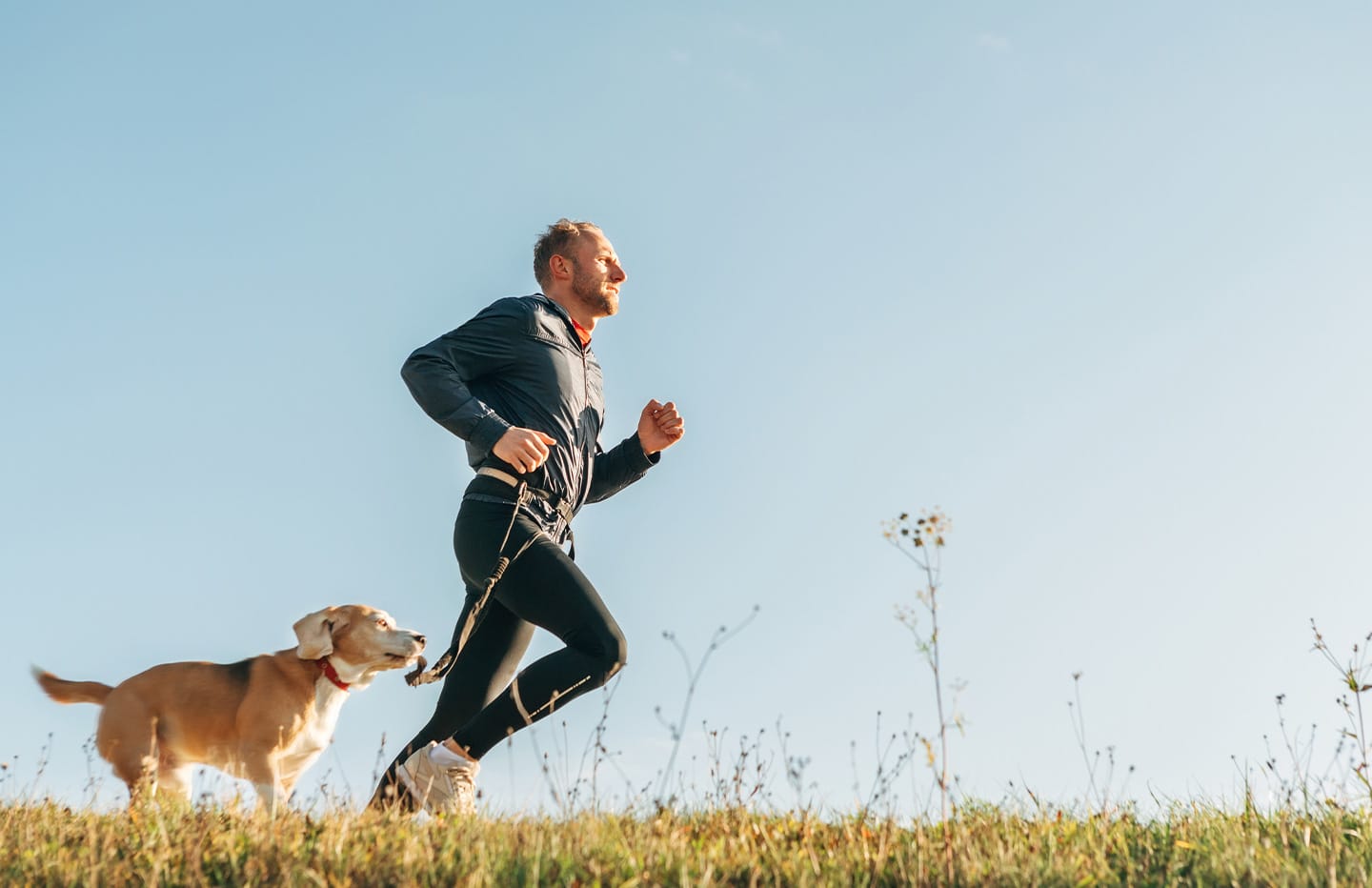Male running in the grass with dog on a leash